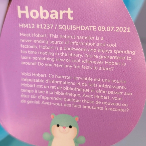 HOBART 🐹 12" Teal Cream & Pink Hamster HugMees Easter 2023 Squishmallow NWT - Picture 3 of 8